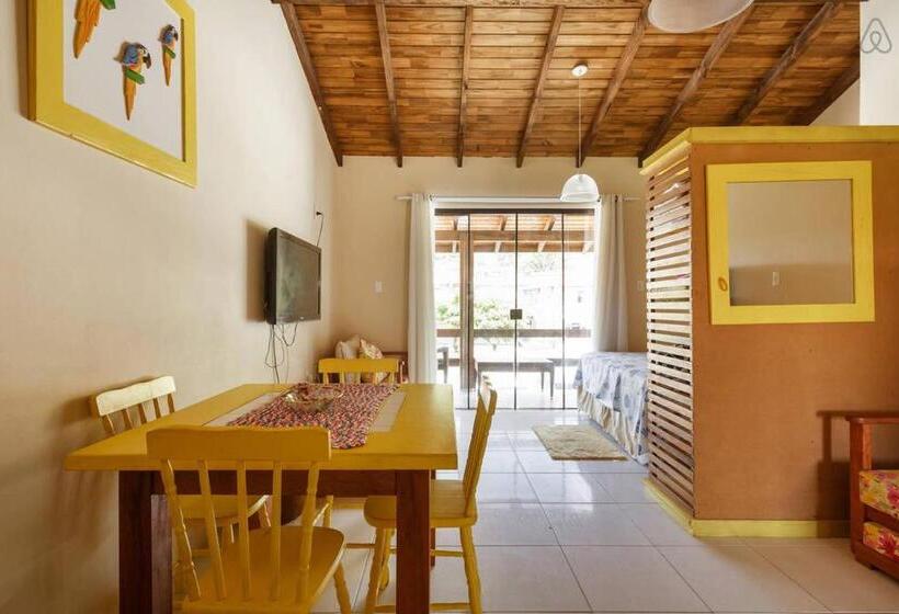 Студия Стандарт, Gamboa Luna Y Sol Apart