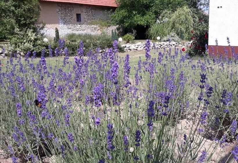 침실 1개 주택, Rendeki Vendégház, önálló Ház