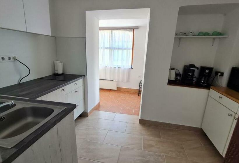 דירת 2 חדרי שינה עם נוף לגינה, Sarudi Vendégház