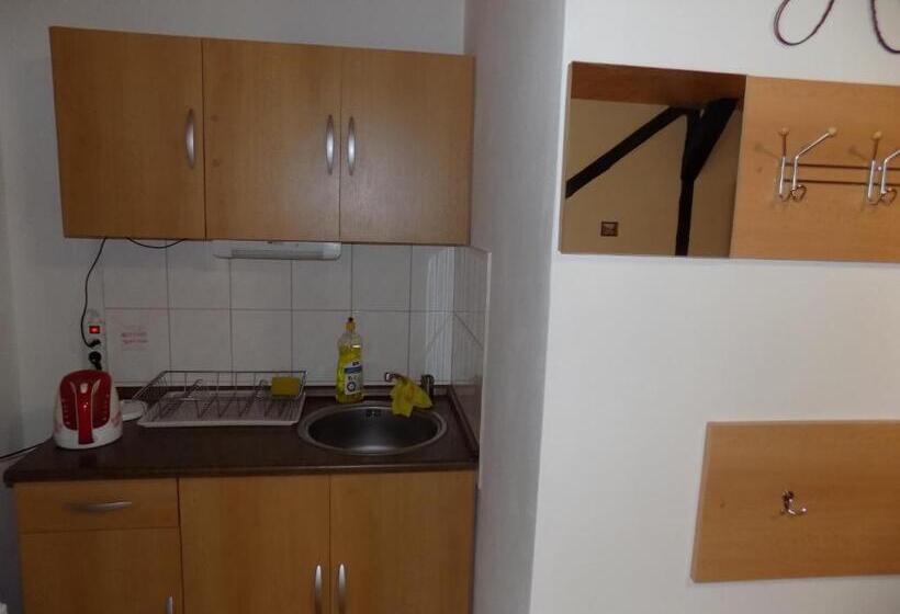 带1个卧室的公寓, Ubytování Apartmány Ferenčíková