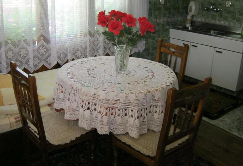 דירת שני חדרים, Villa Lalka