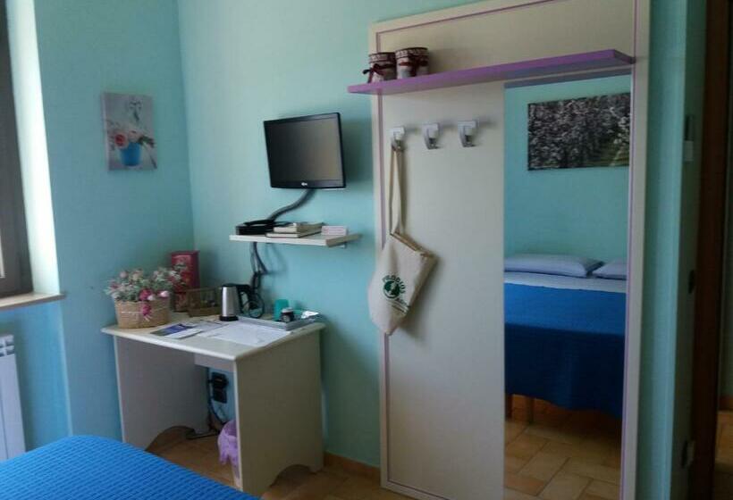 Номер Стандарт, B&b Land & Sea