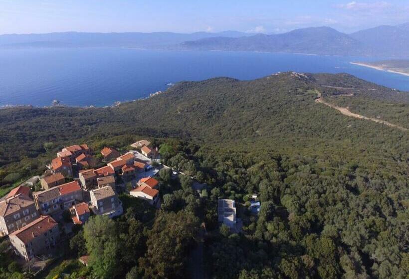 オーシャンビュースタンダードルーム, Chez Marc Et Jeannick