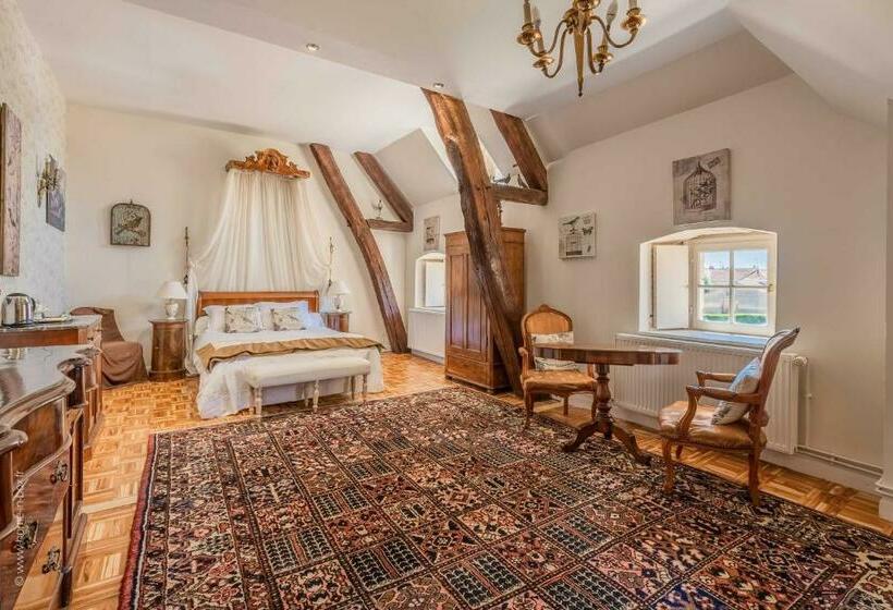 غرفة قياسية مطلّة علي الحديقة, Château De Denonville