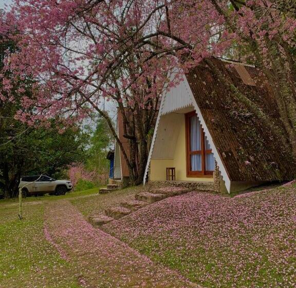 Chalet 1 Dormitório, Pousada Meu Recanto