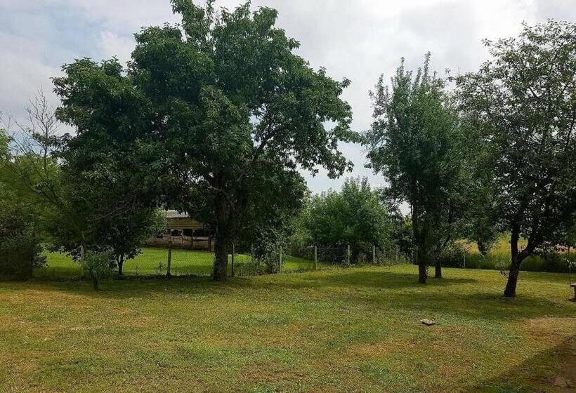 低层单卧公寓, Veronika Guesthouse