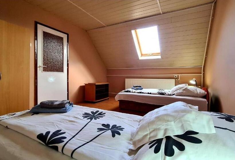 Апартаменты 3 Спальни, Veronika Guesthouse
