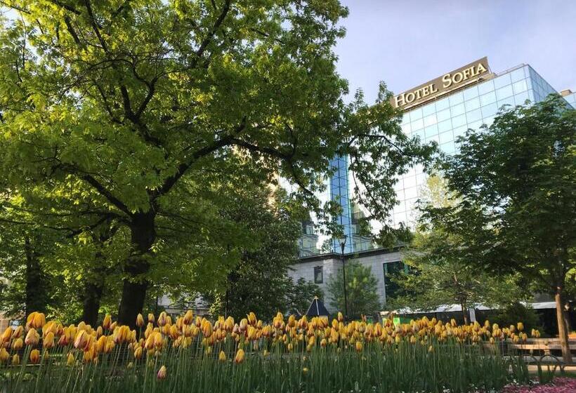 수피리어 싱글 룸, Grand Hotel Sofia