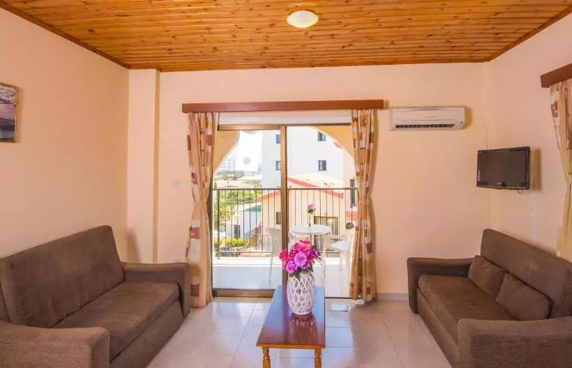 1 Bedroom Apartment