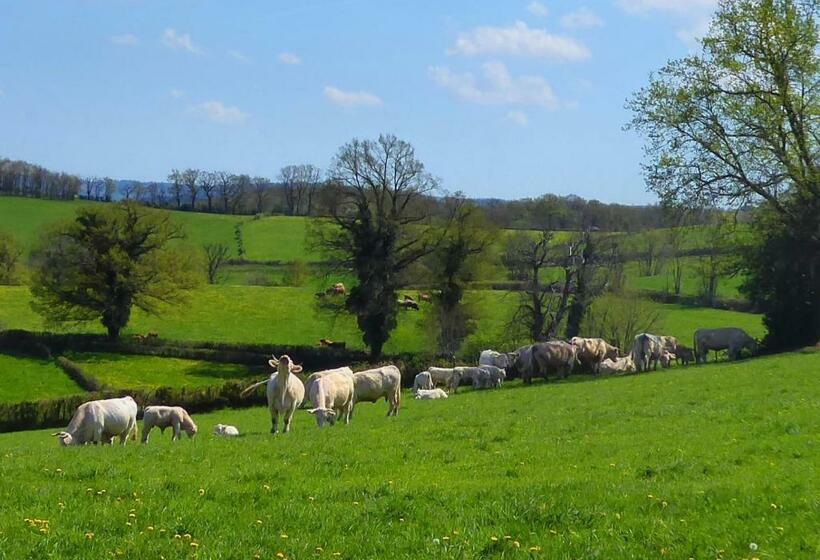 غرفة قياسية, La Roulotte De Lola   Chambre D Hôtes
