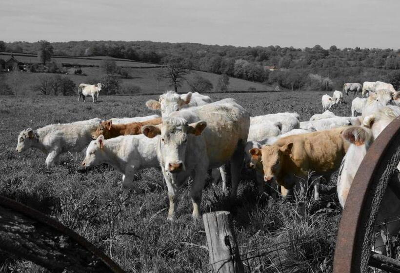 غرفة قياسية, La Roulotte De Lola   Chambre D Hôtes