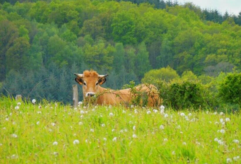 غرفة قياسية, La Roulotte De Lola   Chambre D Hôtes