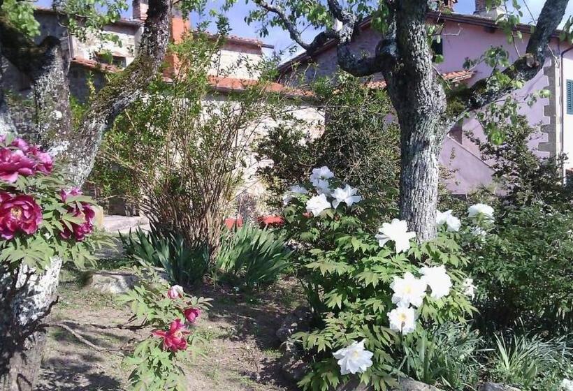 Апартаменты 1 Спальня, Agriturismo Botro