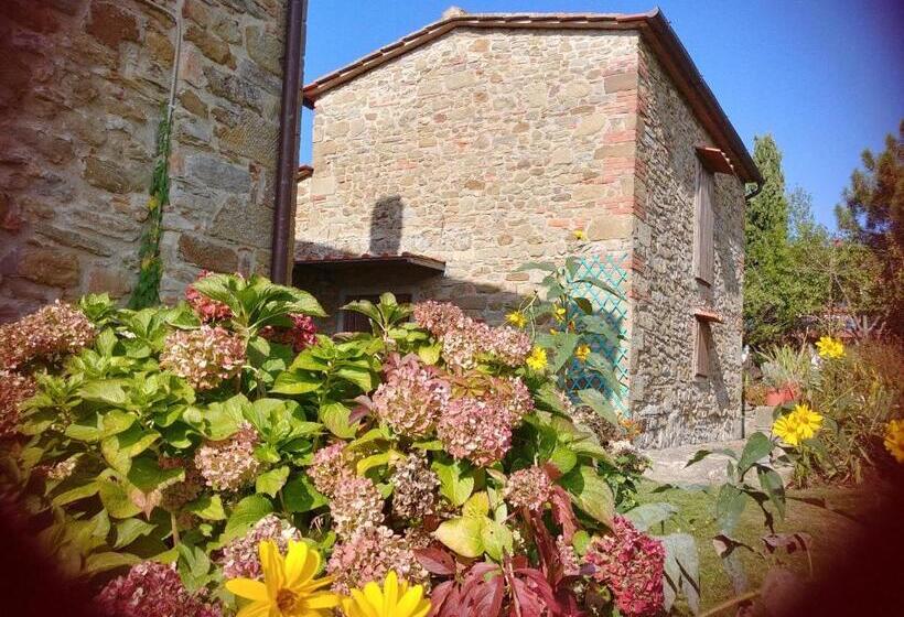 Апартаменты 1 Спальня, Agriturismo Botro