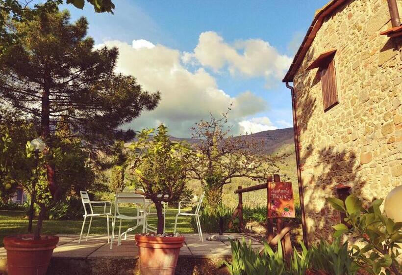 Апартаменты 1 Спальня, Agriturismo Botro