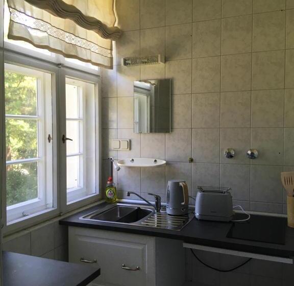 １ベッドルームアパートメント, Fledermausschloss