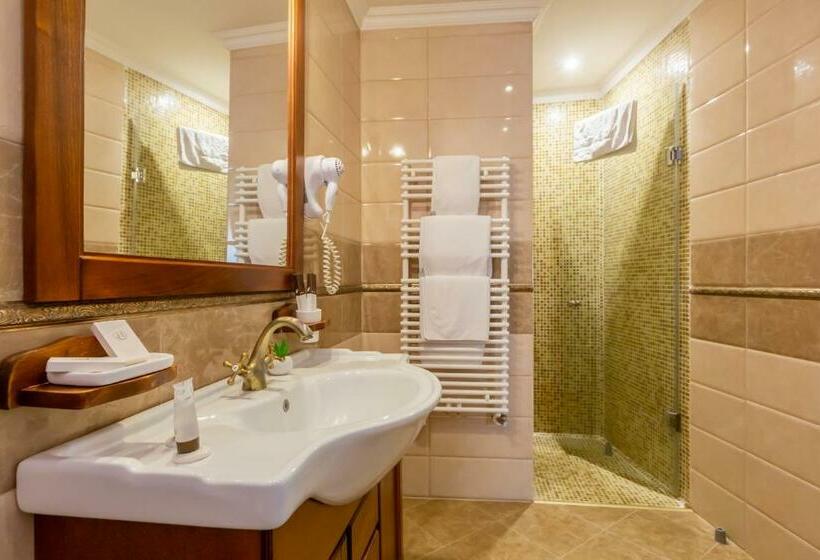 高级大房间, Bulevard Sighisoara