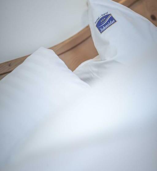 Номер Стандарт Индивидуальный, Garni Schneider