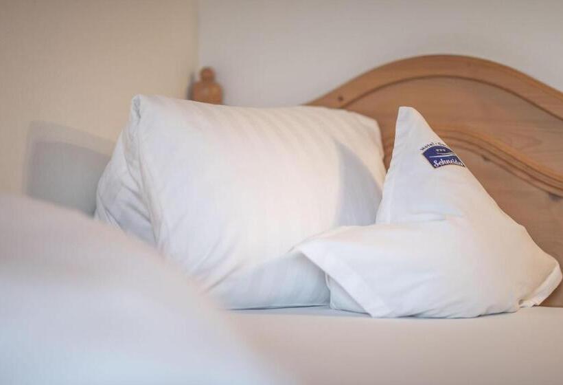 Номер Стандарт Индивидуальный, Garni Schneider