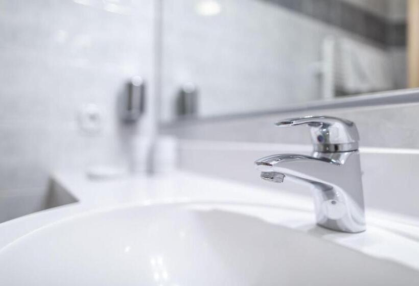 Номер Стандарт, Garni Schneider