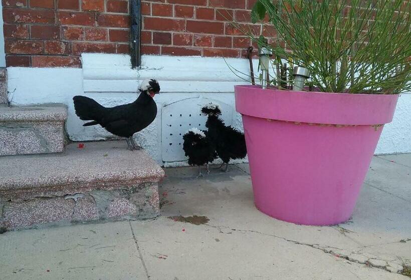 חדר סטנדרט, Chambre D Hotes  Coquelicot