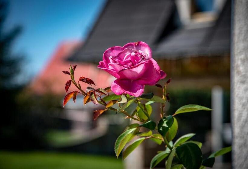 シャレー1寝室, Podhalanski Dworek Z Jacuzzi