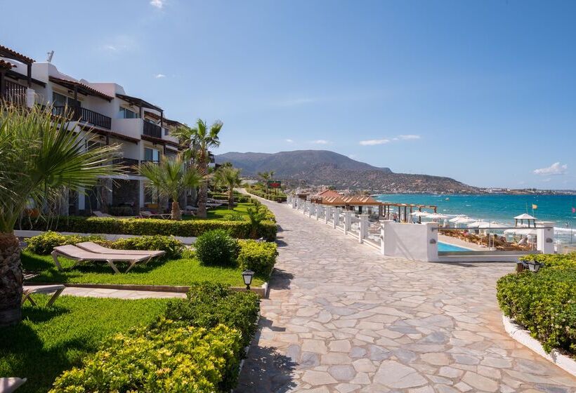 小型套房带海景, Alexander Beach Hotel & Village Resort