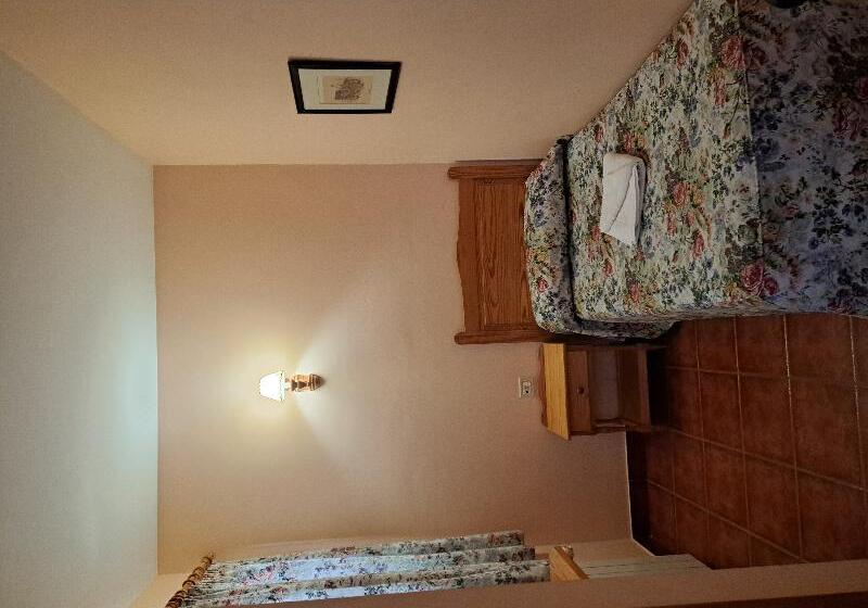 스탠다드 싱글 룸, El Sombrerito