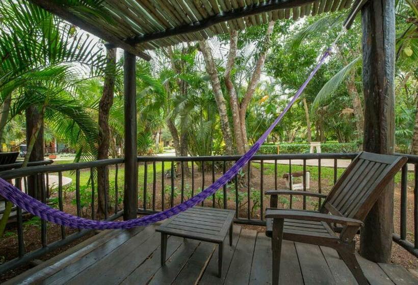 غرفة قياسية, Iberostar Waves Cozumel - All Inclusive