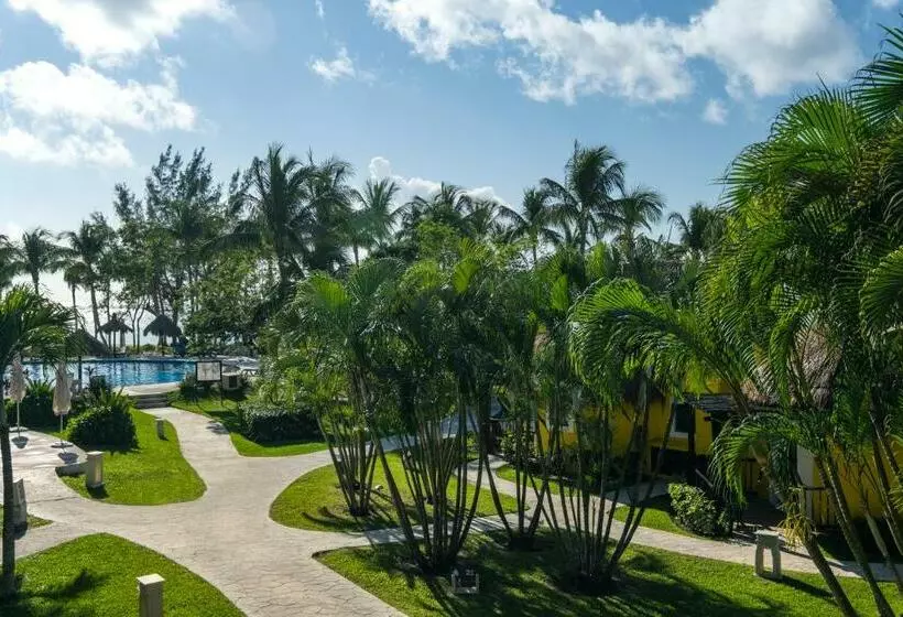 Standard Room, Iberostar Waves Cozumel - All Inclusive