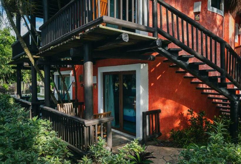 غرفة قياسية مطلّة علي حمام السباحة, Iberostar Waves Cozumel - All Inclusive