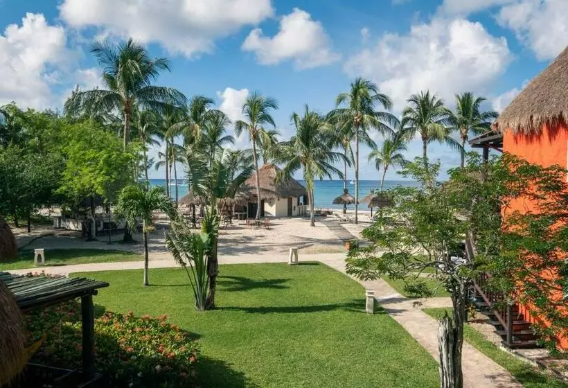 Standard Room Sea View, Iberostar Waves Cozumel - All Inclusive