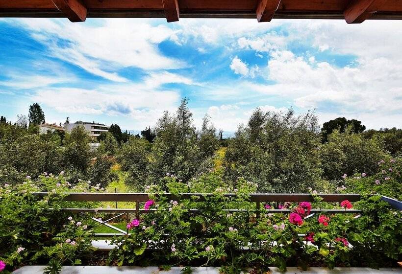 스탠다드 룸 가든 전망, Miramare Hotel Eretria