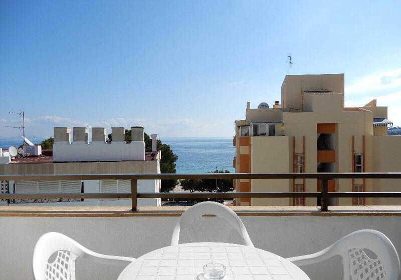 آپارتمان دوبلکس 1 خوابه, Marina Palmanova Apartamentos