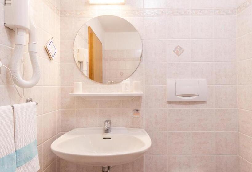 غرفة قياسية مطلة على الجبل, Albergo Canazei