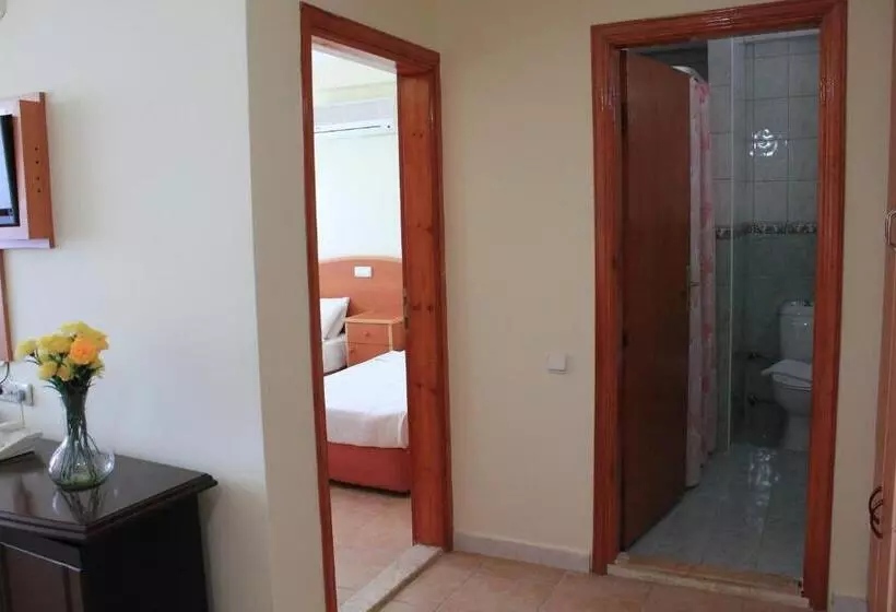 آپارتمان 1 خوابه با چشم‌انداز باغ, Gazipasa Star Otel