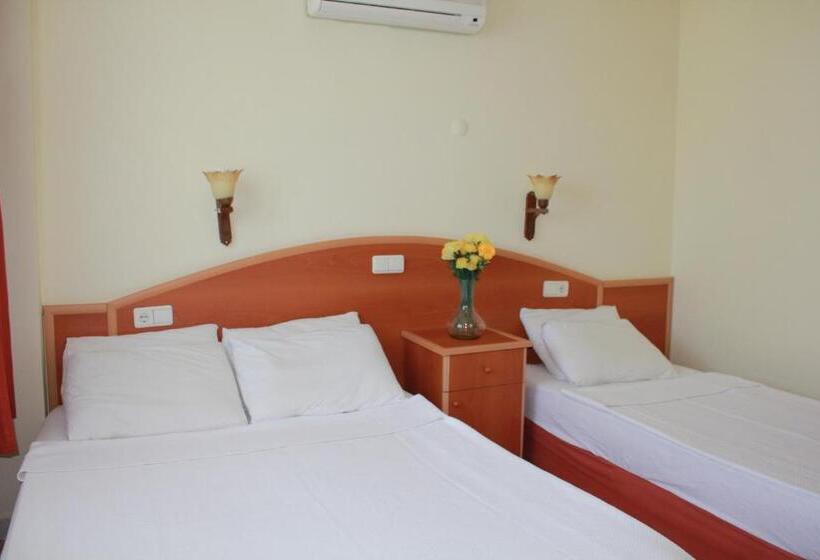 آپارتمان 1 خوابه با چشم‌انداز باغ, Gazipasa Star Otel