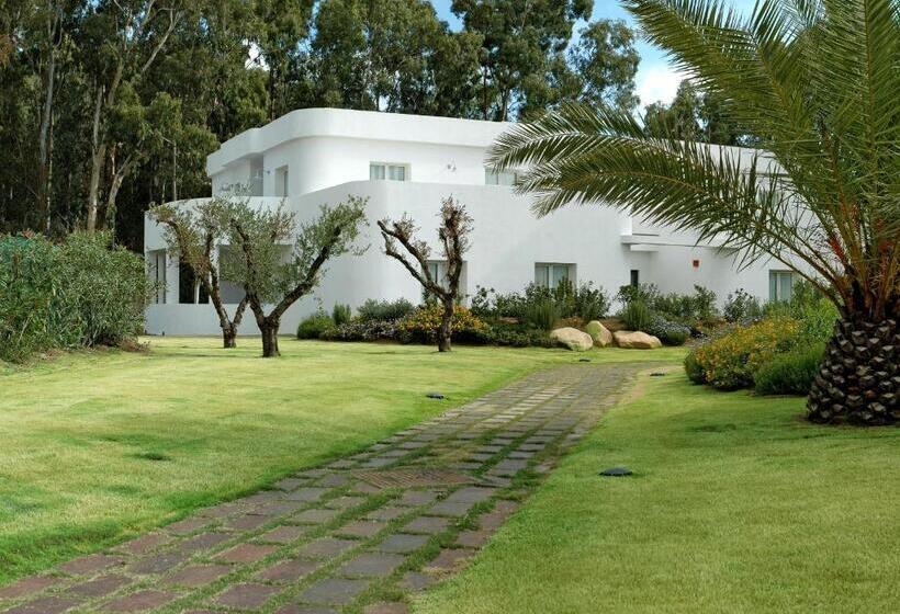 חדר דלוקס, Flamingo