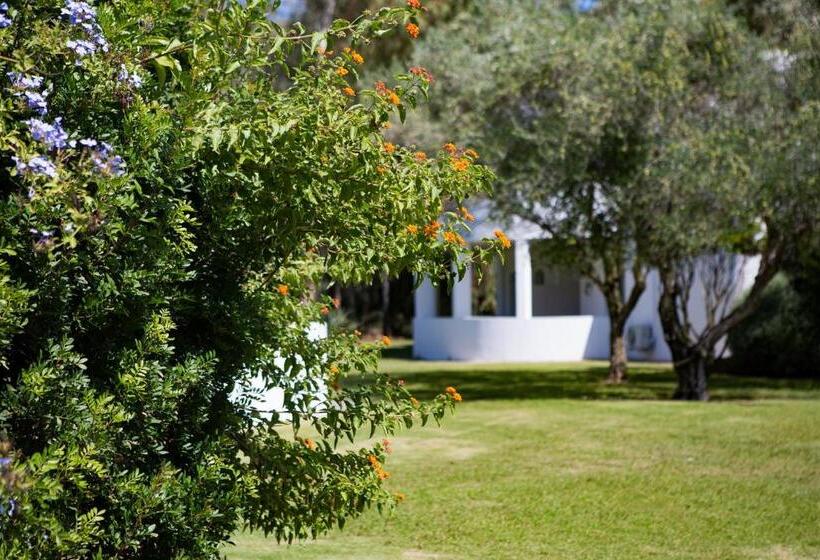 חדר דלוקס, Flamingo