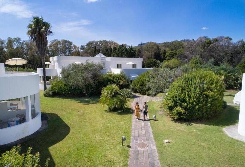 סוויטה, Flamingo