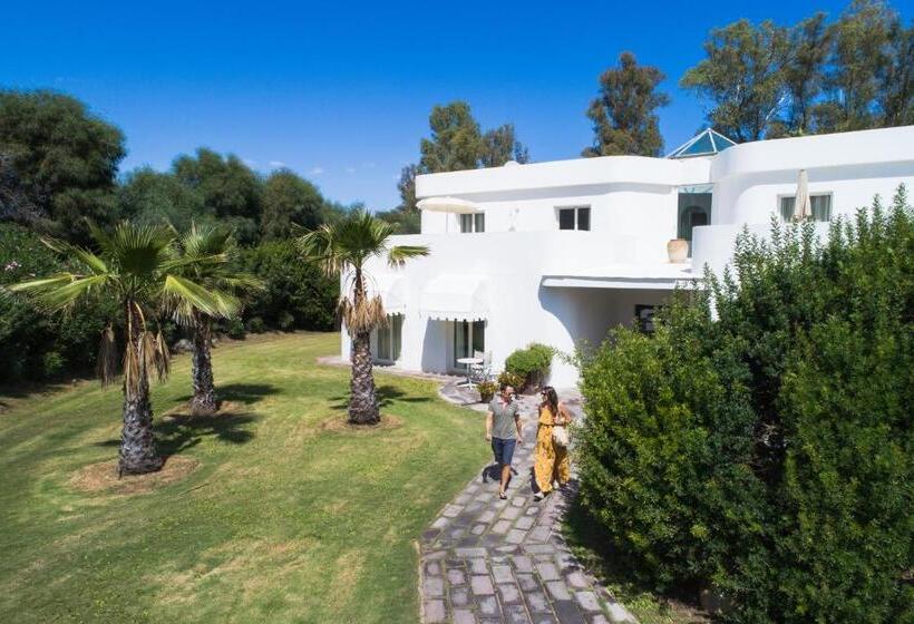 סוויטה, Flamingo