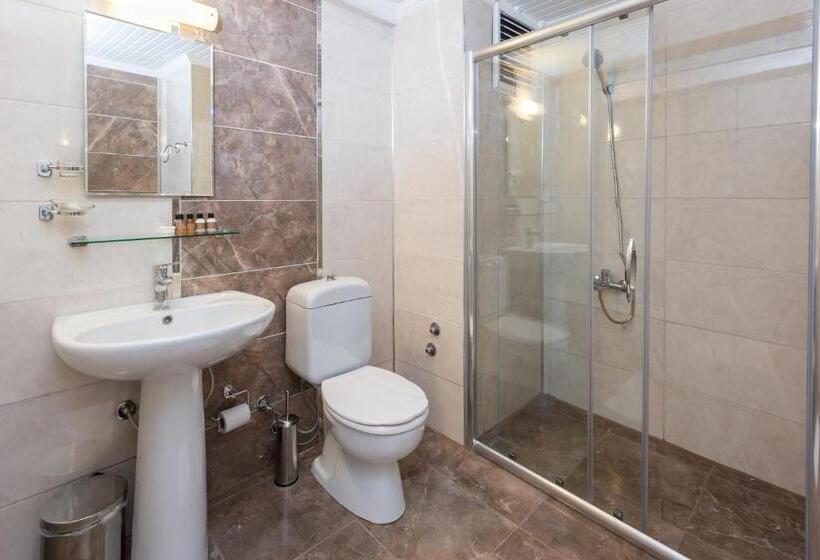 חדר סטנדרט עם מרפסת, Habesos