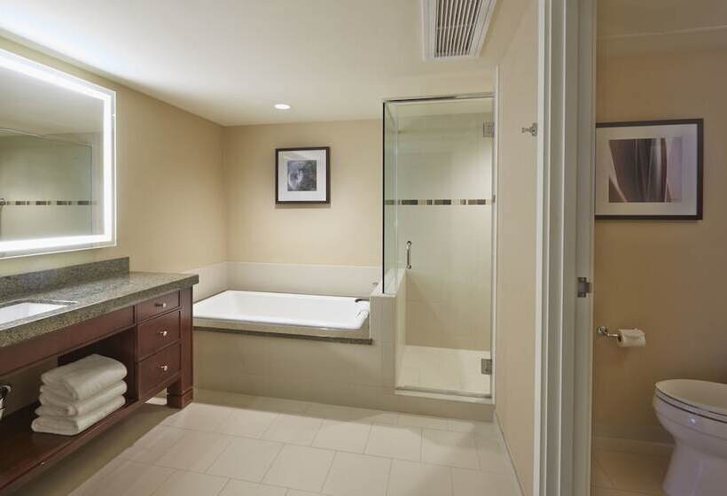 סוויטת ג'וניור נוף לים, Hilton Hawaiian Village Waikiki Beach Resort