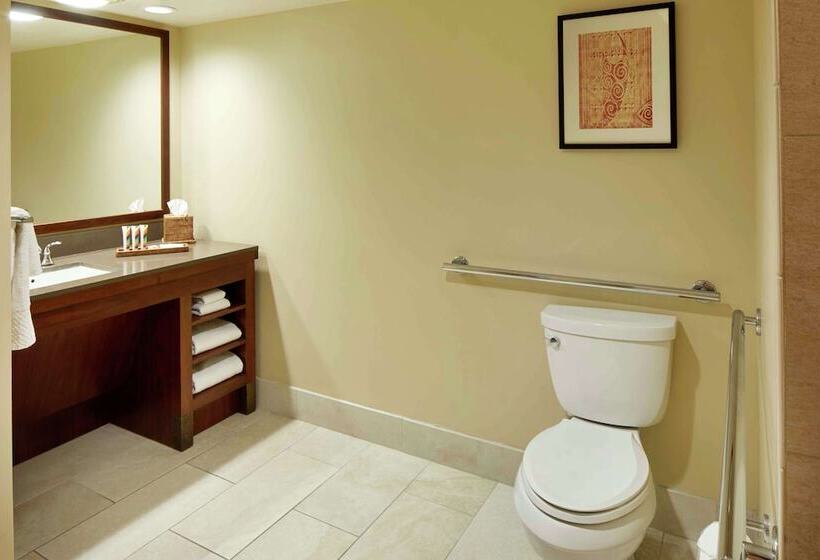 סוויטת ג'וניור מותאמת לאדם עם מוגבלויות, Hilton Hawaiian Village Waikiki Beach Resort