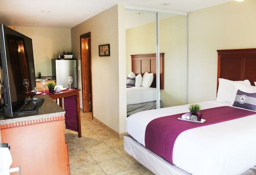 スタンダードスタジオ, Iris Mission Valleysan Diego Zooseaworld