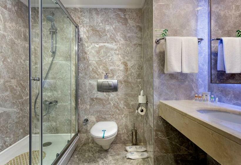 اتاق خانوادگی, Miracle Resort