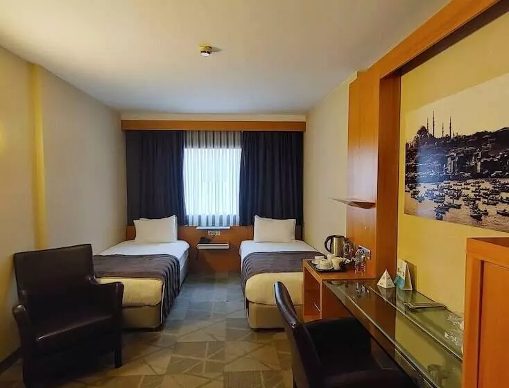 غرفة قياسية, Point Hotel Taksim