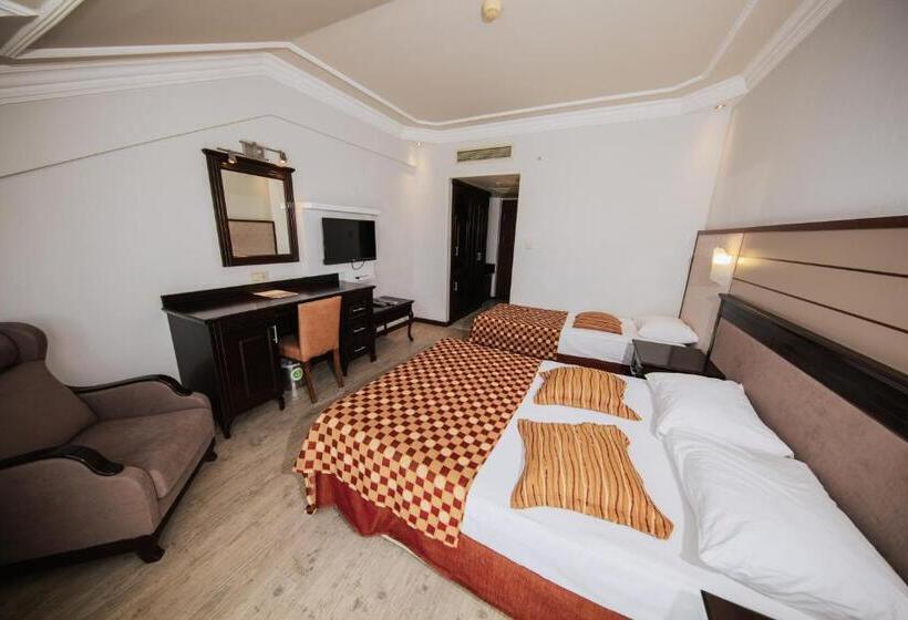 اتاق استاندارد با چشم‌انداز دریا, Rox Resort