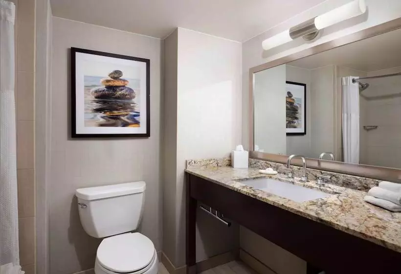 اتاق لوکس, Sonesta Redondo Beach And Marina
