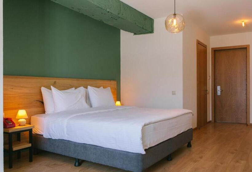 اتاق لوکس با تخت بزرگ, Intourist Kazbegi